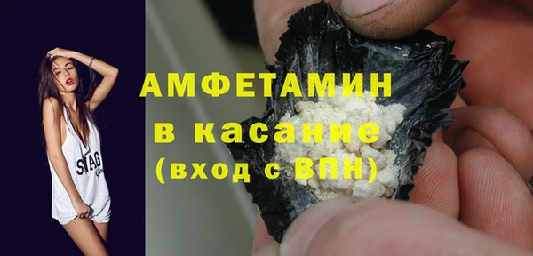 сатива Заволжье