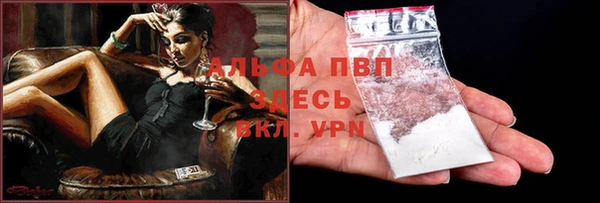 спиды Заводоуковск