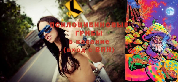 ПСИЛОЦИБИНОВЫЕ ГРИБЫ Зеленокумск