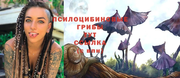 сатива Заволжье